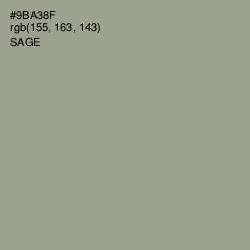 #9BA38F - Sage Color Image