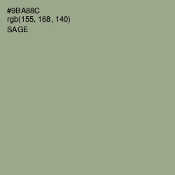 #9BA88C - Sage Color Image