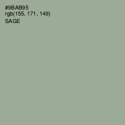 #9BAB95 - Sage Color Image