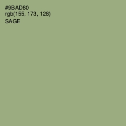 #9BAD80 - Sage Color Image