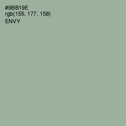 #9BB19E - Envy Color Image