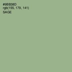 #9BB38D - Sage Color Image