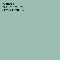 #9BBDB4 - Summer Green Color Image