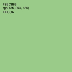 #9BCB88 - Feijoa Color Image