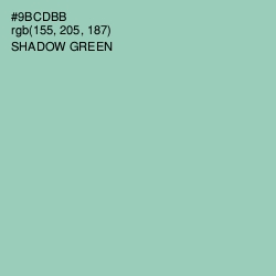 #9BCDBB - Shadow Green Color Image