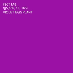 #9C11A5 - Violet Eggplant Color Image