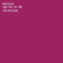 #9C2262 - Vin Rouge Color Image