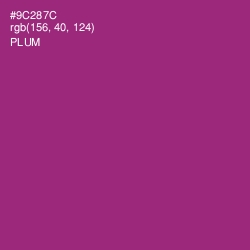#9C287C - Plum Color Image