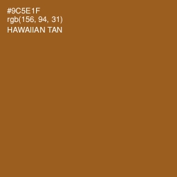 #9C5E1F - Hawaiian Tan Color Image