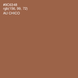 #9C6348 - Au Chico Color Image