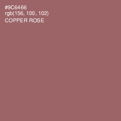 #9C6466 - Copper Rose Color Image