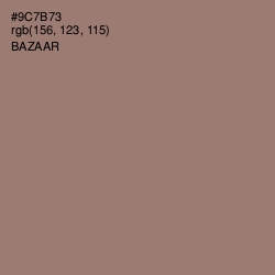 #9C7B73 - Bazaar Color Image