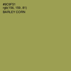 #9C9F51 - Barley Corn Color Image