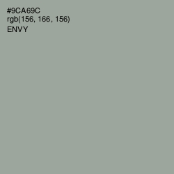 #9CA69C - Envy Color Image