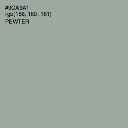 #9CA9A1 - Pewter Color Image