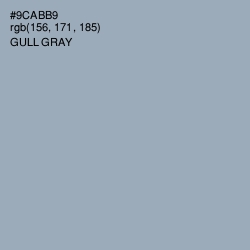 #9CABB9 - Gull Gray Color Image