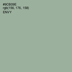 #9CB09E - Envy Color Image