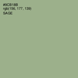 #9CB18B - Sage Color Image