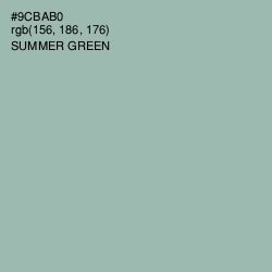 #9CBAB0 - Summer Green Color Image