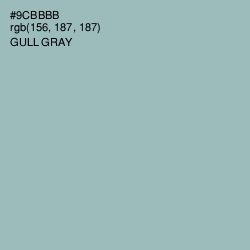 #9CBBBB - Gull Gray Color Image