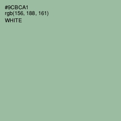 #9CBCA1 - Summer Green Color Image
