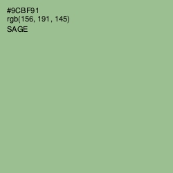 #9CBF91 - Sage Color Image