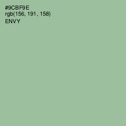 #9CBF9E - Envy Color Image