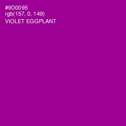 #9D0095 - Violet Eggplant Color Image