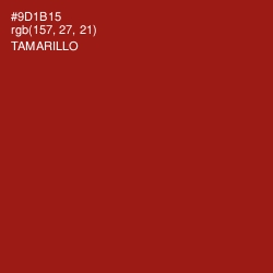 #9D1B15 - Tamarillo Color Image