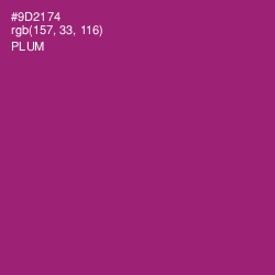 #9D2174 - Plum Color Image