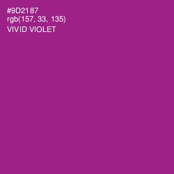 #9D2187 - Vivid Violet Color Image