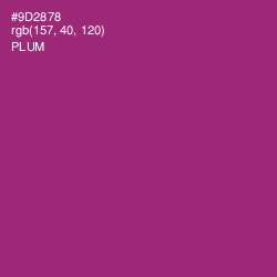 #9D2878 - Plum Color Image