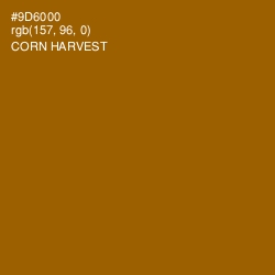#9D6000 - Corn Harvest Color Image
