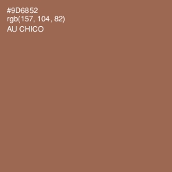 #9D6852 - Au Chico Color Image