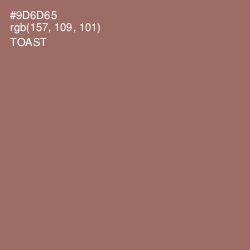 #9D6D65 - Toast Color Image