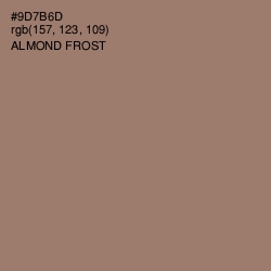#9D7B6D - Almond Frost Color Image