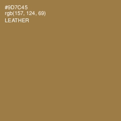#9D7C45 - Leather Color Image