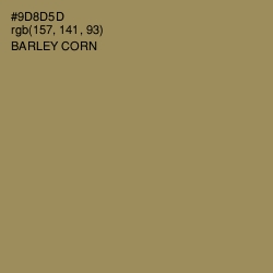 #9D8D5D - Barley Corn Color Image