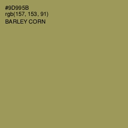 #9D995B - Barley Corn Color Image