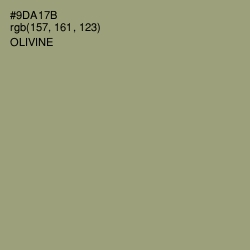 #9DA17B - Olivine Color Image