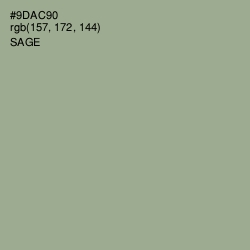 #9DAC90 - Sage Color Image