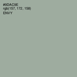 #9DAC9E - Envy Color Image