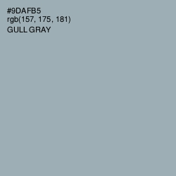 #9DAFB5 - Gull Gray Color Image
