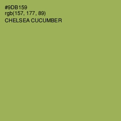 #9DB159 - Chelsea Cucumber Color Image
