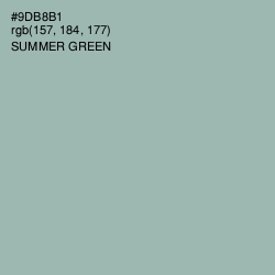 #9DB8B1 - Summer Green Color Image
