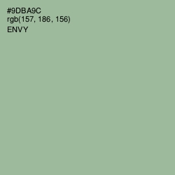 #9DBA9C - Envy Color Image