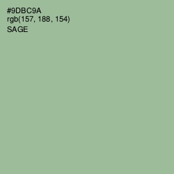 #9DBC9A - Sage Color Image