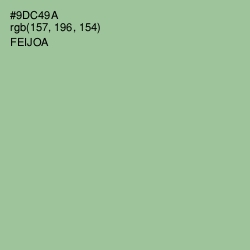 #9DC49A - Feijoa Color Image