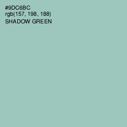 #9DC6BC - Shadow Green Color Image
