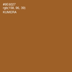 #9E6027 - Kumera Color Image